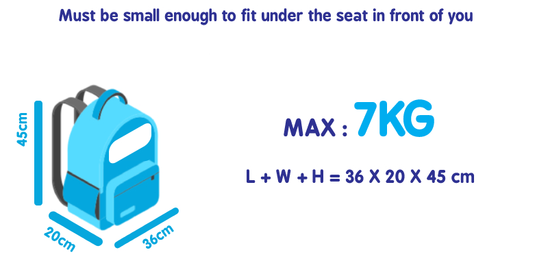 flybe bag size cabin